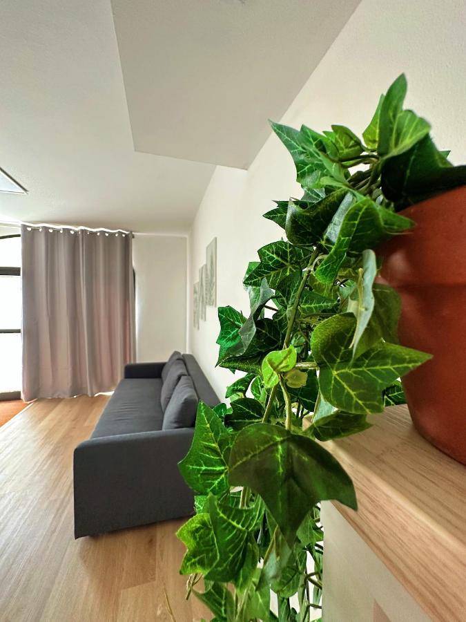 In Mezzo All'Aria Apartment Mezzolara Экстерьер фото